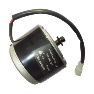 ELECTRIC ENGINE 250W