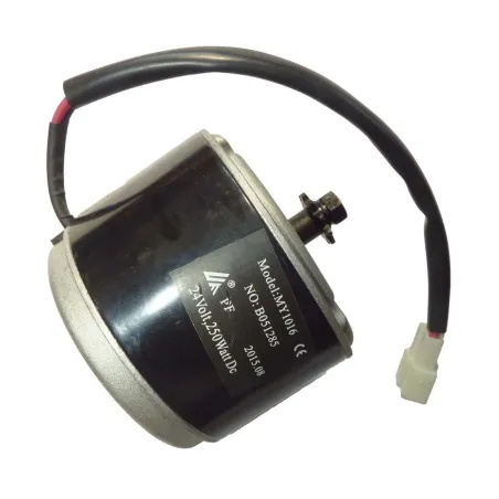 ELECTRIC ENGINE 250W