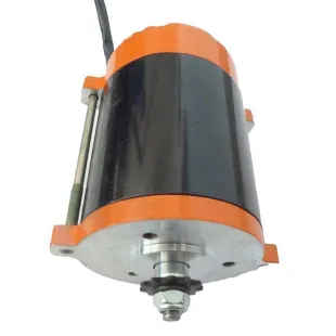 Electric engine 300w