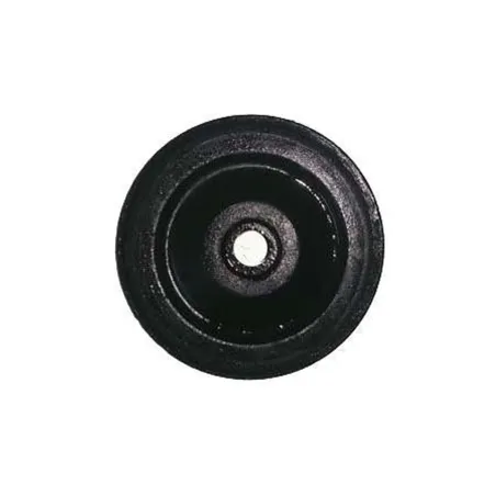 Rodillo guiador cadena distribucion