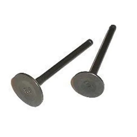 ADMISSION VALVE / EXHAUST VALVE PIT BIKE 125
