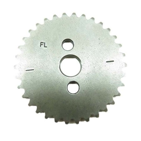 Piñon distribucion zs