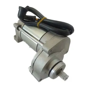 Motor de arranque zs190