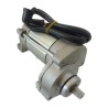 Starting motor assy zs190
