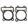 Gasket cylinder block and cylinder head zs190