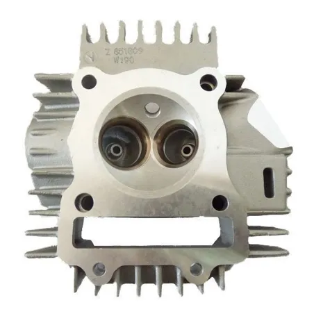 Cylinder head zs190