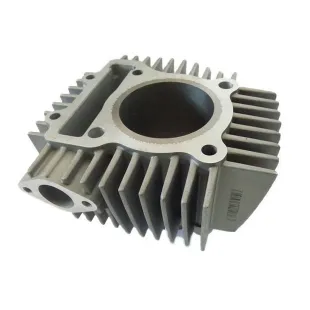 Cilindro original zs190