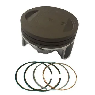 Piston assy zs190cc