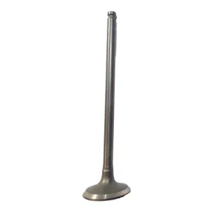 EXHAUST VALVE DAYTONA