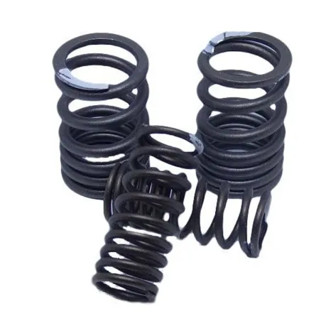 Inner spring valve zs190