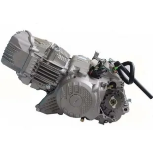 Motor zs190cc 2V con arranque electrico 2