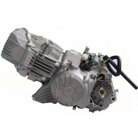 Engine zs190cc 2v