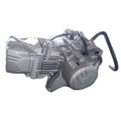 Motor Zongshen zs190cc 2V