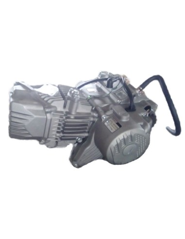 Motor Zongshen zs190cc 2V