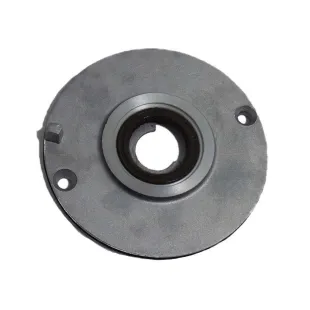 Plato fijador de encendido zs190