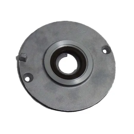 Plato fijador de encendido zs190