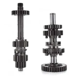 Gearbox assy daytona anima