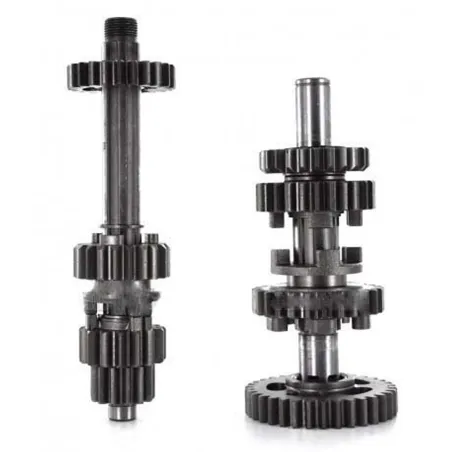 Gearbox assy daytona anima
