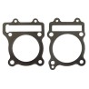Gaskets cylinder head and body 212