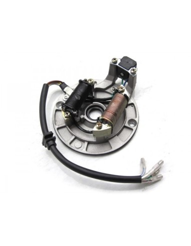 Encendido completo pit bike