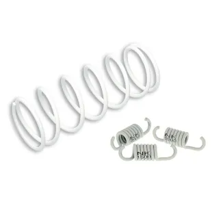 Set spring clutch scooter