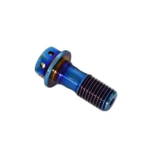 Tornillo de aceite perforado M10