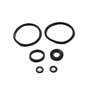 Cylinder head O-rings seal