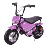 Minimoto electrica MTR MTR 250w