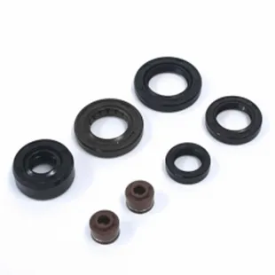 Set seal oil engine 125cc
