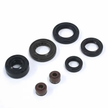 Set seal oil engine 125cc