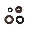 Oil seal set zs190 engine
