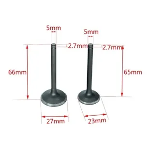 Admission valve / exhaust valve pit bike 125