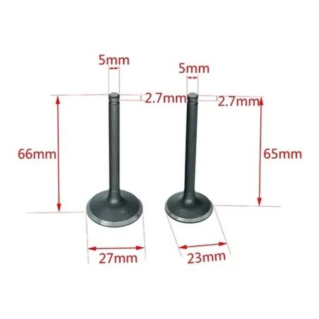 Admission valve / exhaust valve pit bike 125