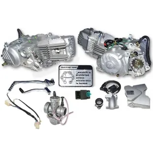 Engine zs212cc 2v Assy