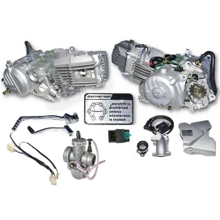 Engine zs212cc 2v Assy