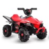 Mini quad infantil 6V