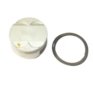 Piston assy for daytona anima
