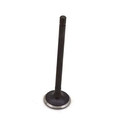 Valvula de escape MTR MCT 125cc E4