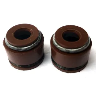 Retenes de valvula motor zs190/daytona