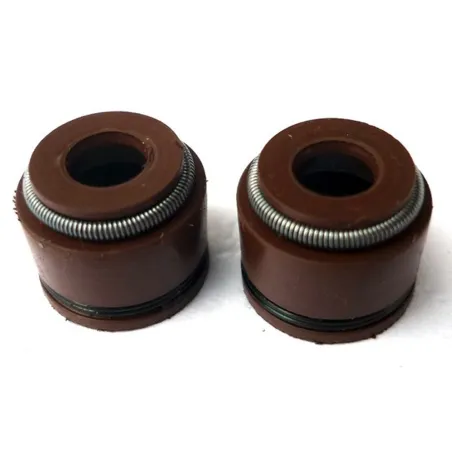 Retenes de valvula motor zs190/daytona