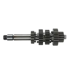 Main and count shaft zs190
