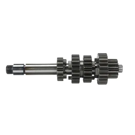 Main and count shaft zs190