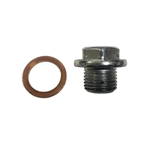 Tornillo llenado aceite motor morini