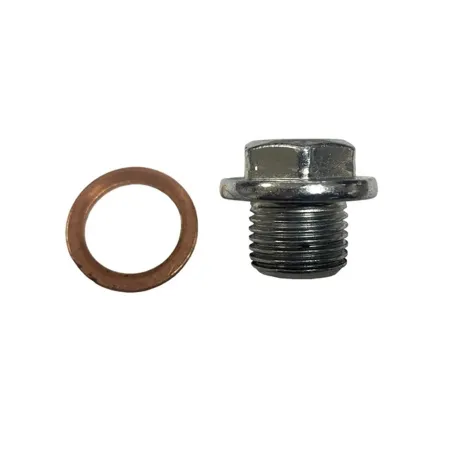 Bolt oil engine morini