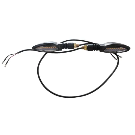 Front and rear turning light harley citycoco