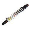 Rear shock XZF 250cc M5