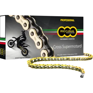 REGINA chain RH2 420