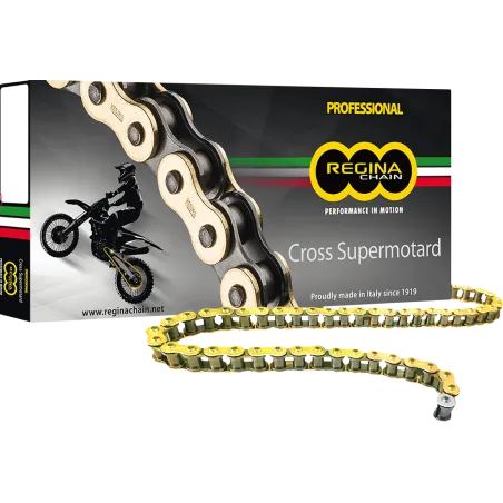 REGINA chain RH2 420