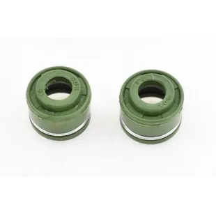 Pair seal valve zs250