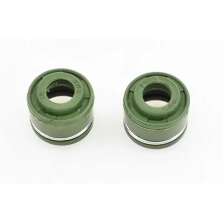 Retenes motor zs250